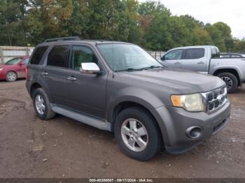  Salvage Ford Escape