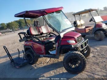  Salvage Bintelli Golf Cart