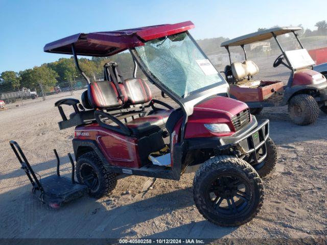  Salvage Bintelli Golf Cart