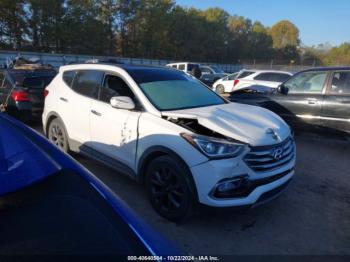  Salvage Hyundai SANTA FE