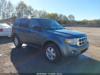  Salvage Ford Escape