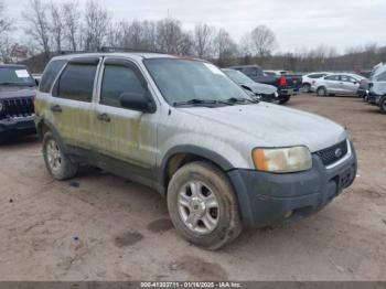  Salvage Ford Escape