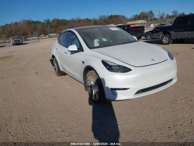  Salvage Tesla Model Y