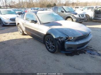  Salvage Ford Mustang