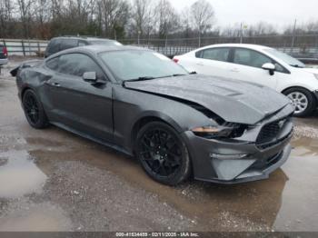  Salvage Ford Mustang