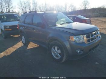  Salvage Ford Escape