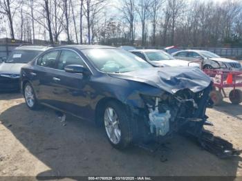  Salvage Nissan Maxima