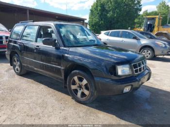  Salvage Subaru Forester