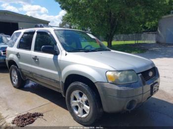  Salvage Ford Escape