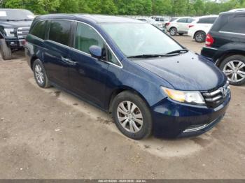  Salvage Honda Odyssey