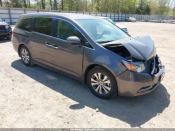  Salvage Honda Odyssey