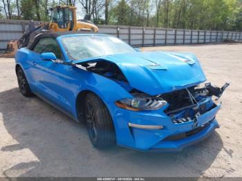  Salvage Ford Mustang