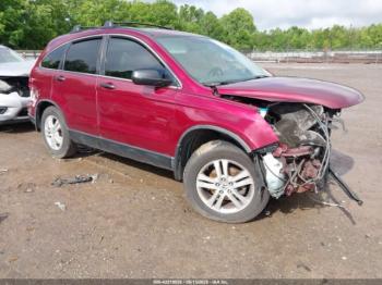  Salvage Honda CR-V