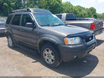  Salvage Ford Escape