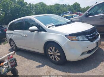  Salvage Honda Odyssey