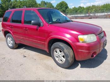  Salvage Ford Escape