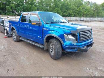  Salvage Ford F-150