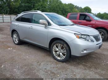  Salvage Lexus RX