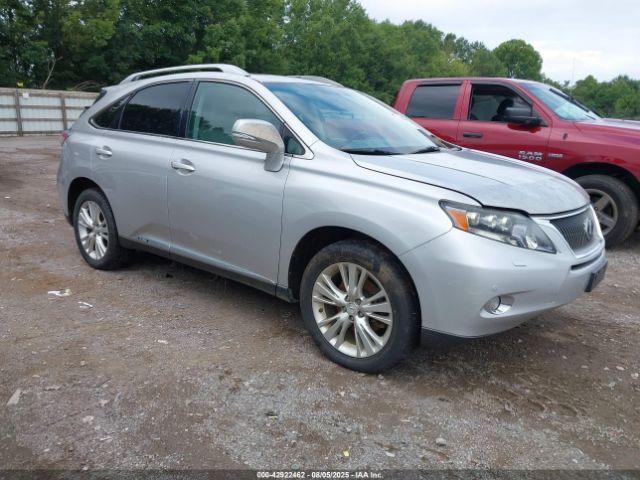  Salvage Lexus RX
