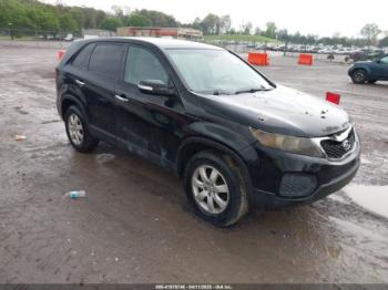  Salvage Kia Sorento