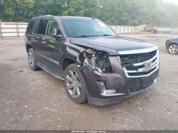  Salvage Cadillac Escalade