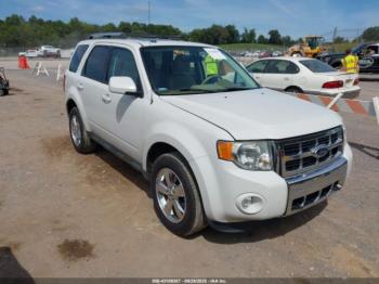  Salvage Ford Escape