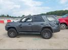 Toyota 4Runner Venture Special Edition Image 14