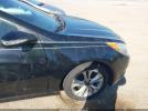 Hyundai SONATA Limited Image 6