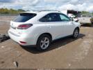 Lexus RX Image 6