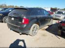 Ford Edge Limited Image 7