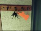 Sandpiper Travel Trlr Image 8