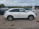 Lexus RX Image 2