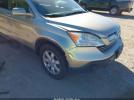 Honda CR-V Ex-l Image 5