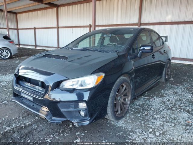 Subaru WRX Premium Image 11