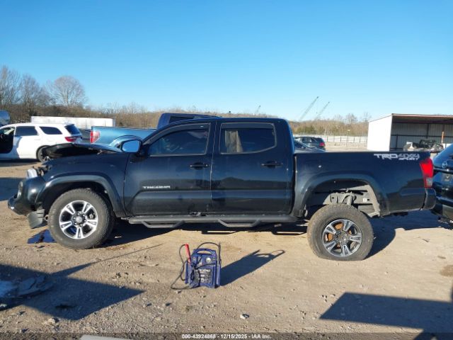 Toyota Tacoma Trd Sport Image 12