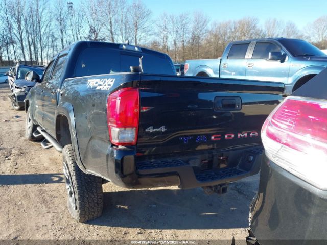 Toyota Tacoma Trd Sport Image 15