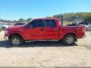 Ford F-150 Xlt Image 12