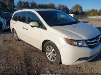  Salvage Honda Odyssey