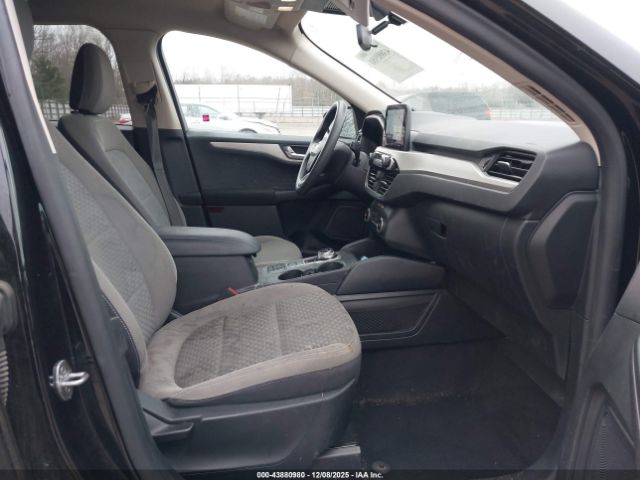 Ford Escape Se Image 7