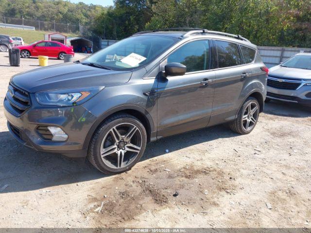 Ford Escape Sel Image 3