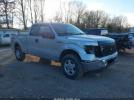 Ford F-150 Image 1