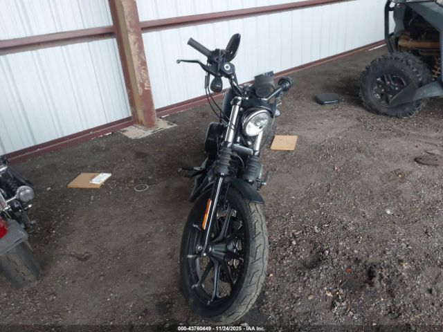 Harley-Davidson Xl883 N Image 13