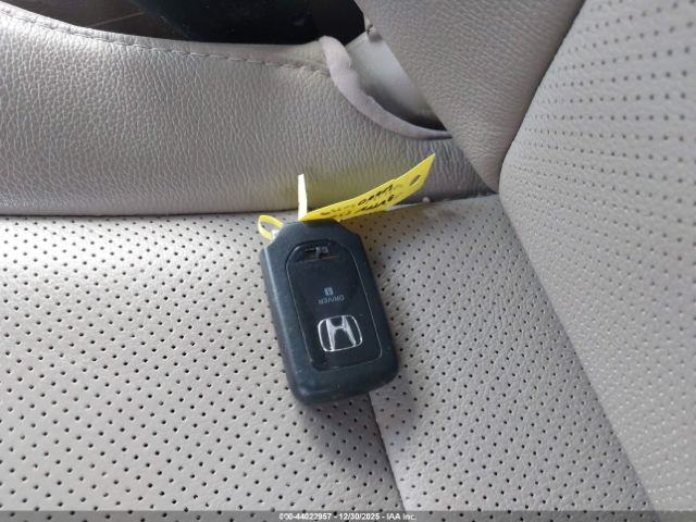 Honda Pilot Elite Image 9