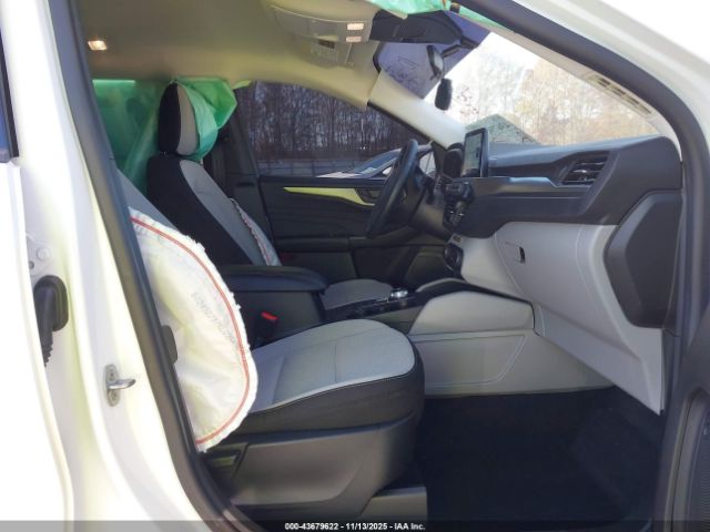 Ford Escape Active Image 2