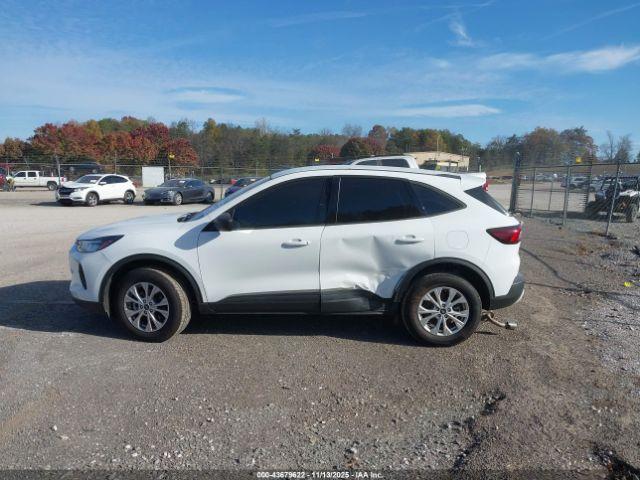 Ford Escape Active Image 11