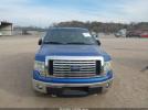 Ford F-150 Xlt Image 3